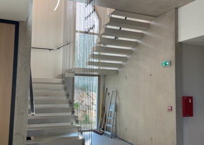 Hylocerus Escalier volant 1
